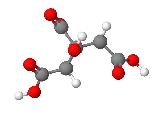 Molecular model of citric acid